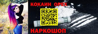 крисы Камышлов