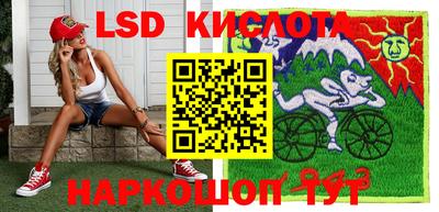 крисы Камышлов