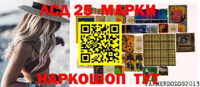 крисы Камышлов