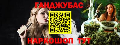 крисы Камышлов