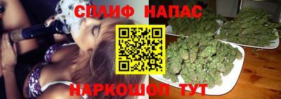 крисы Канаш